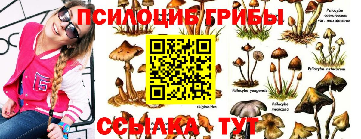 Галлюциногенные грибы Magic Shrooms  Псилоцибиновые грибы Psilocybe  Уфа  Вход с VPN 